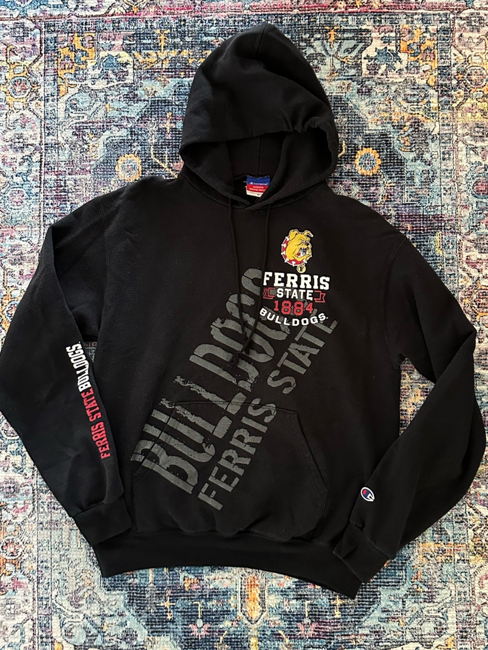 VTG 1990’s Champion Black Ferris State Bulldogs Graphic Hoodie